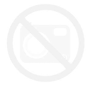 Grzałka Patronowa 300W/230V fi 20x70mm GO2-322